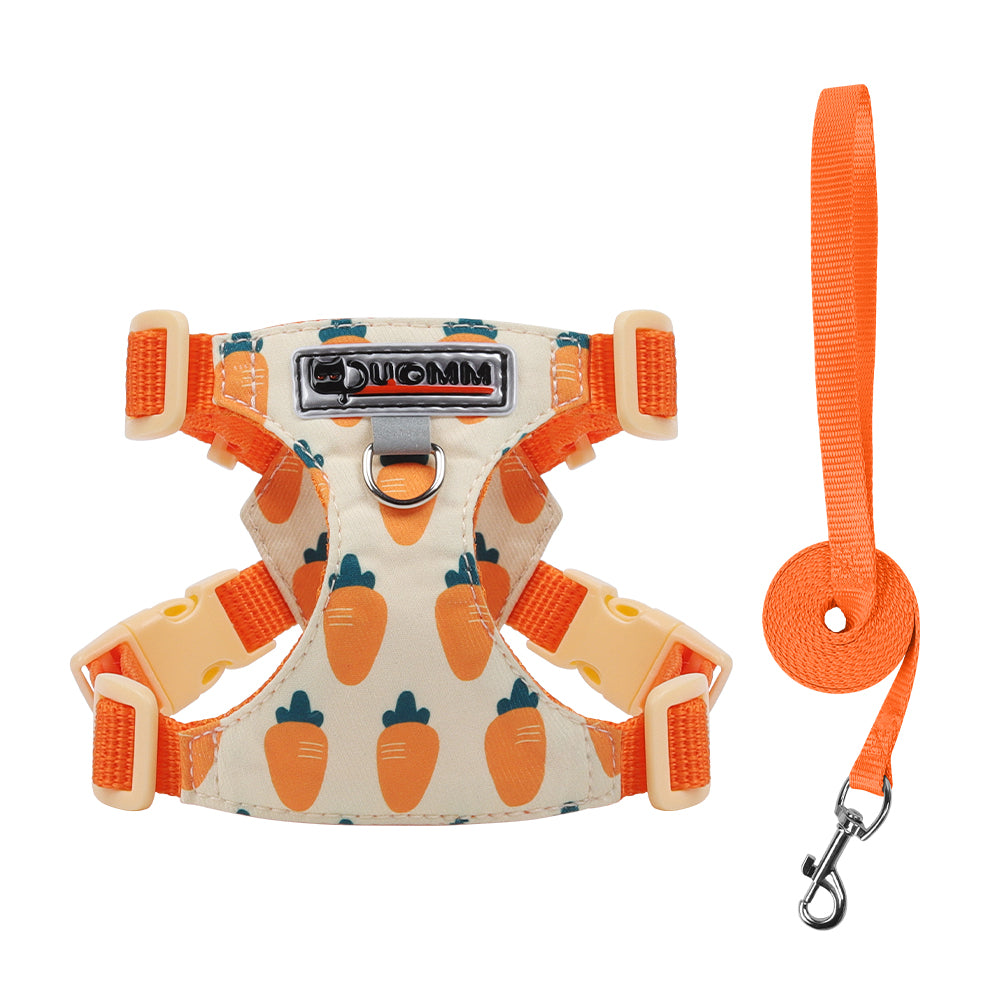 Playful Print Step-In Pet Harness and Leash Set