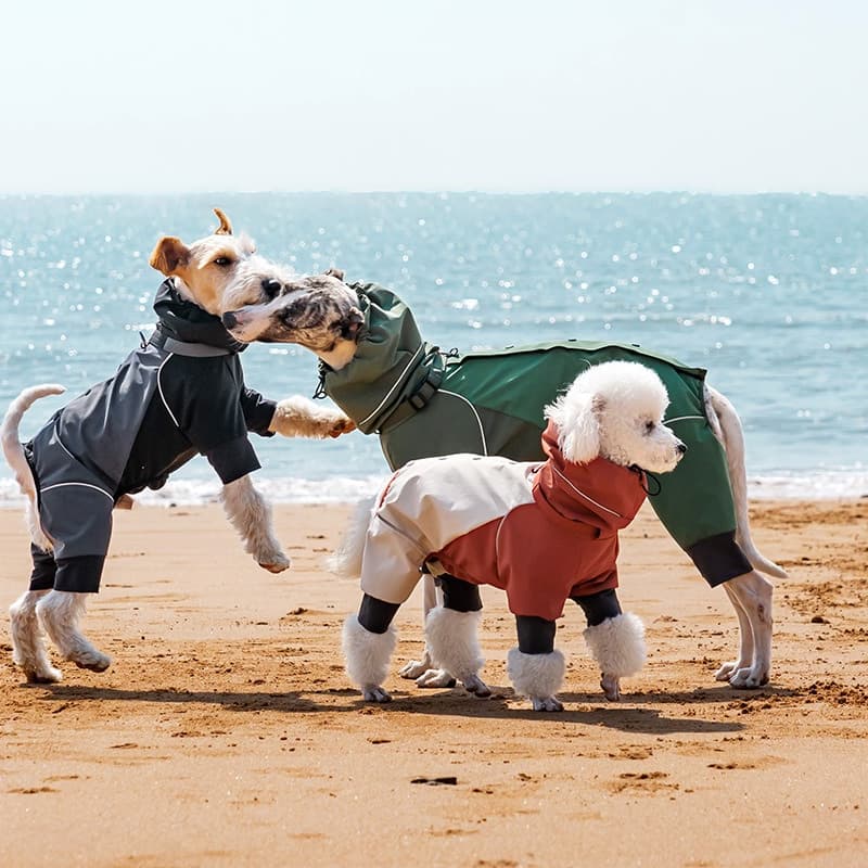 All-Weather Outdoor Adventure Dog Jacket