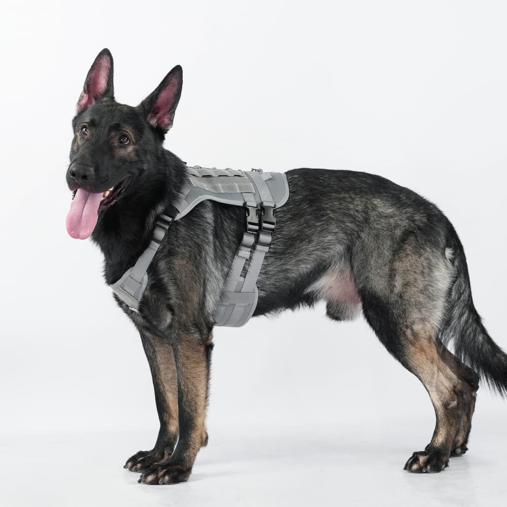 Summit Control Tactical Dog Harness with Handle