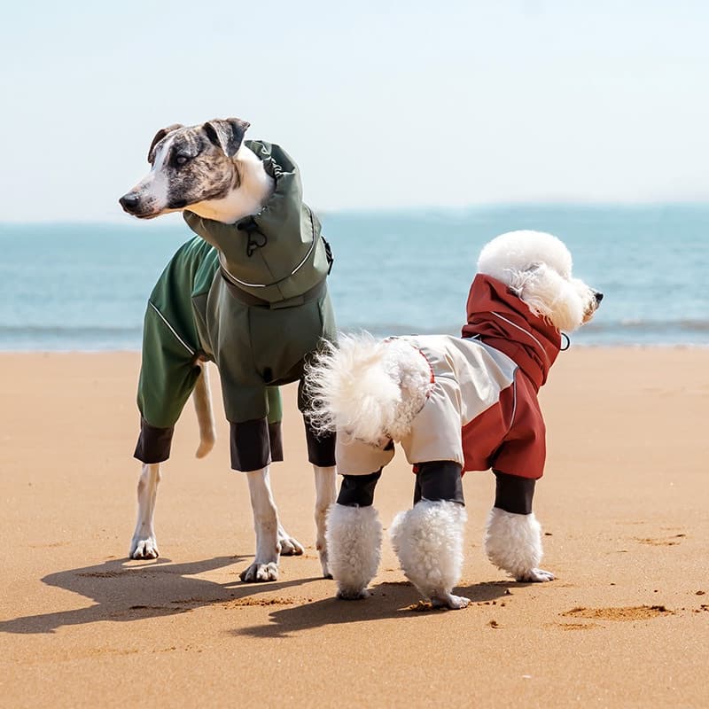 All-Weather Outdoor Adventure Dog Jacket