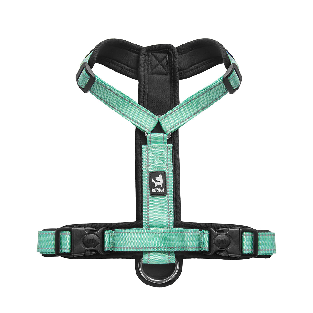 Core Walk Adjustable No-Pull Dog Harness