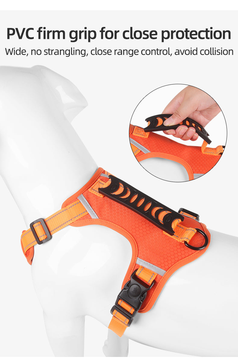 Ridge Guide Reflective Dog Harness and Leash Set