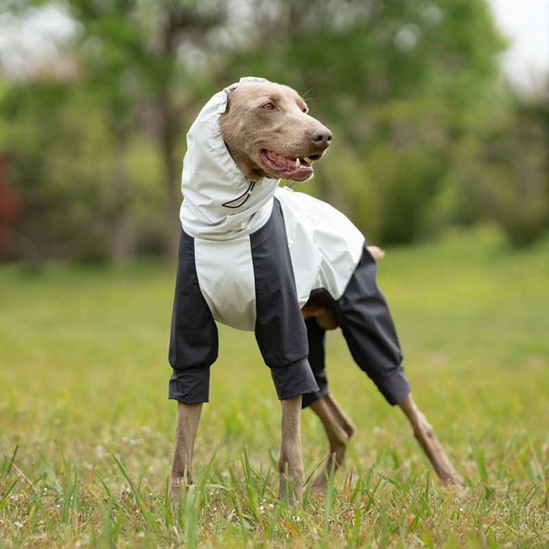 Lightweight Full Coverage Dog Rain Jacket