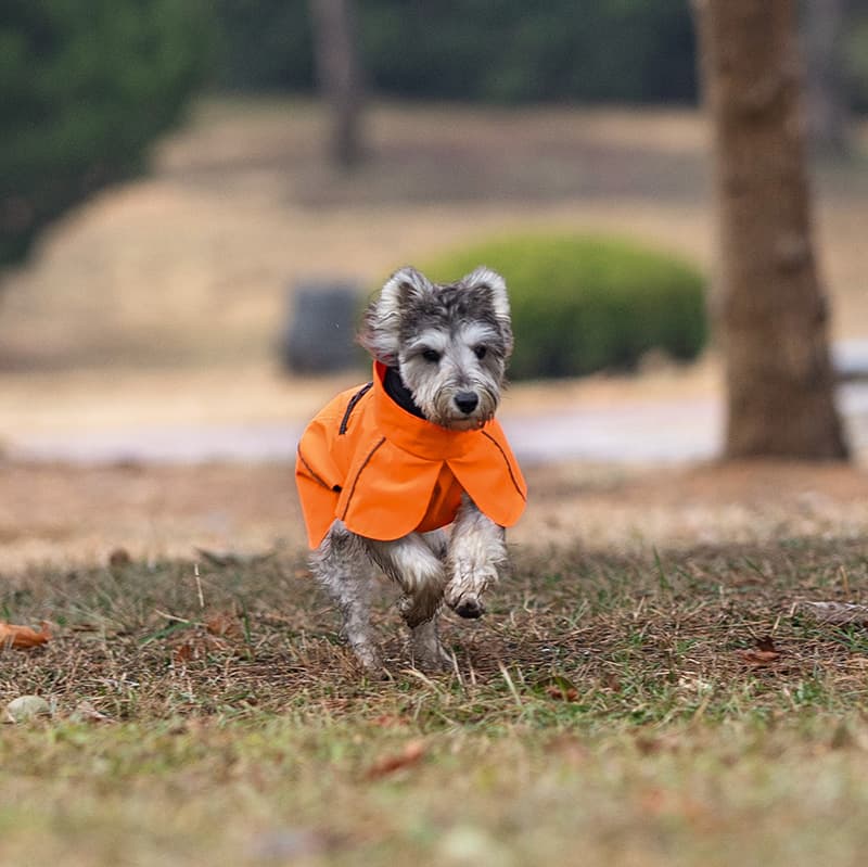 Breathable Dog Adventure Rain Coat