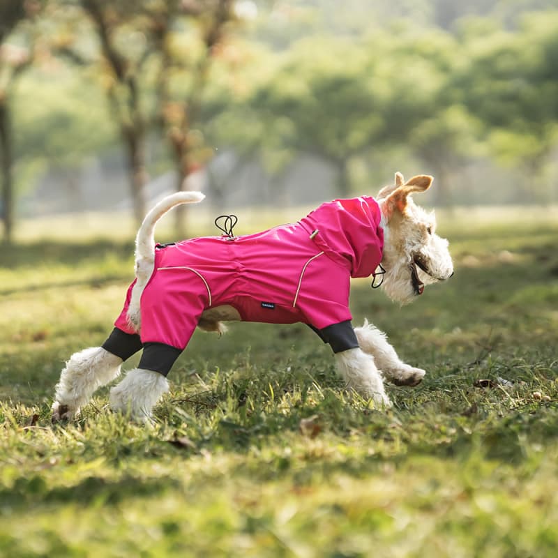 Lightweight Full Coverage Dog Rain Jacket