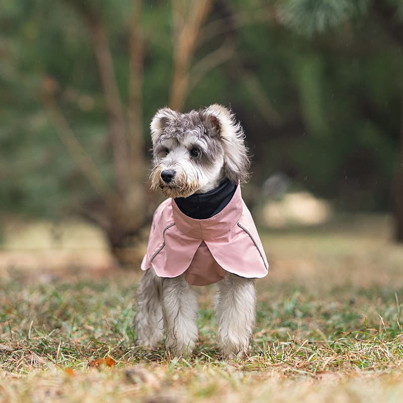 Breathable Dog Adventure Rain Coat