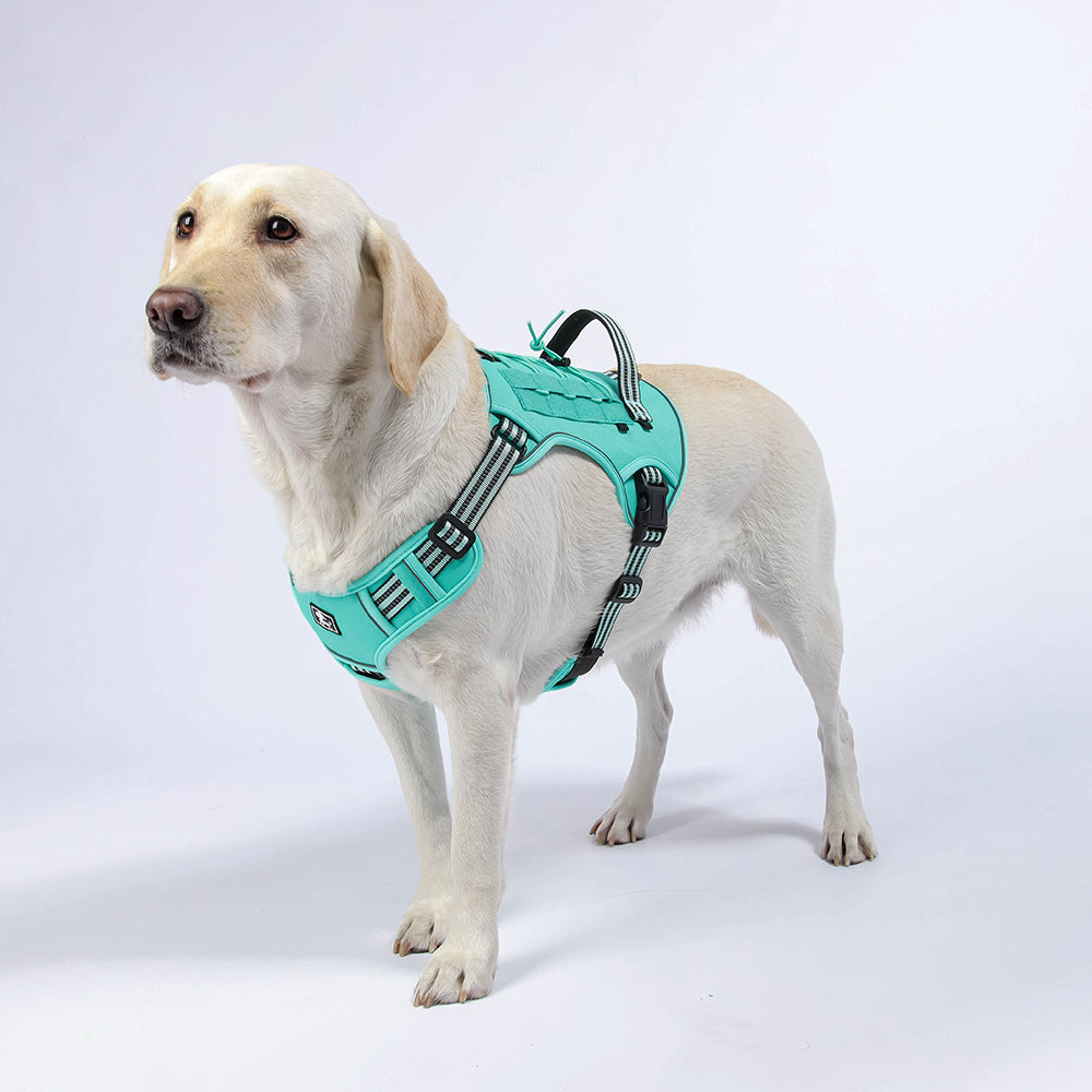 Field Trek Multi-Use Training Dog Harness with Handle