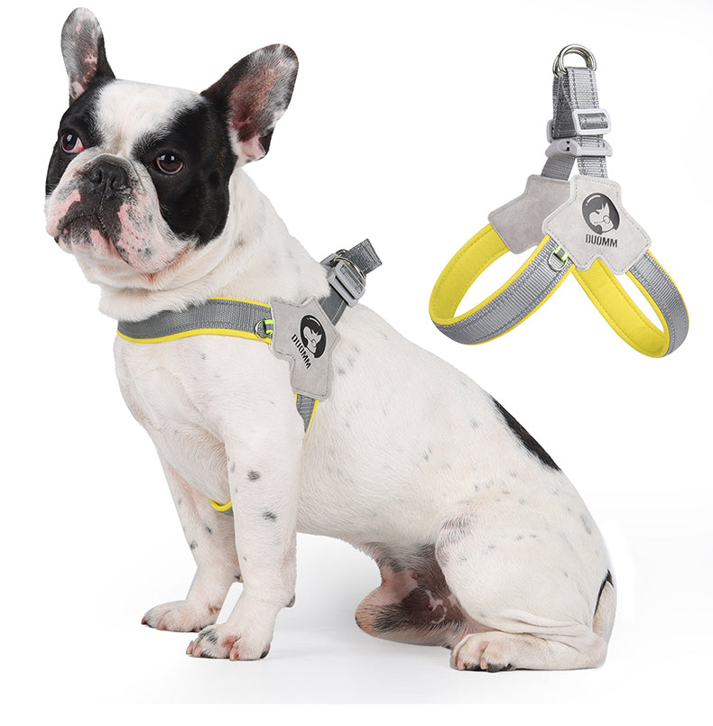 City Halo Reflective Harness & Leash Set