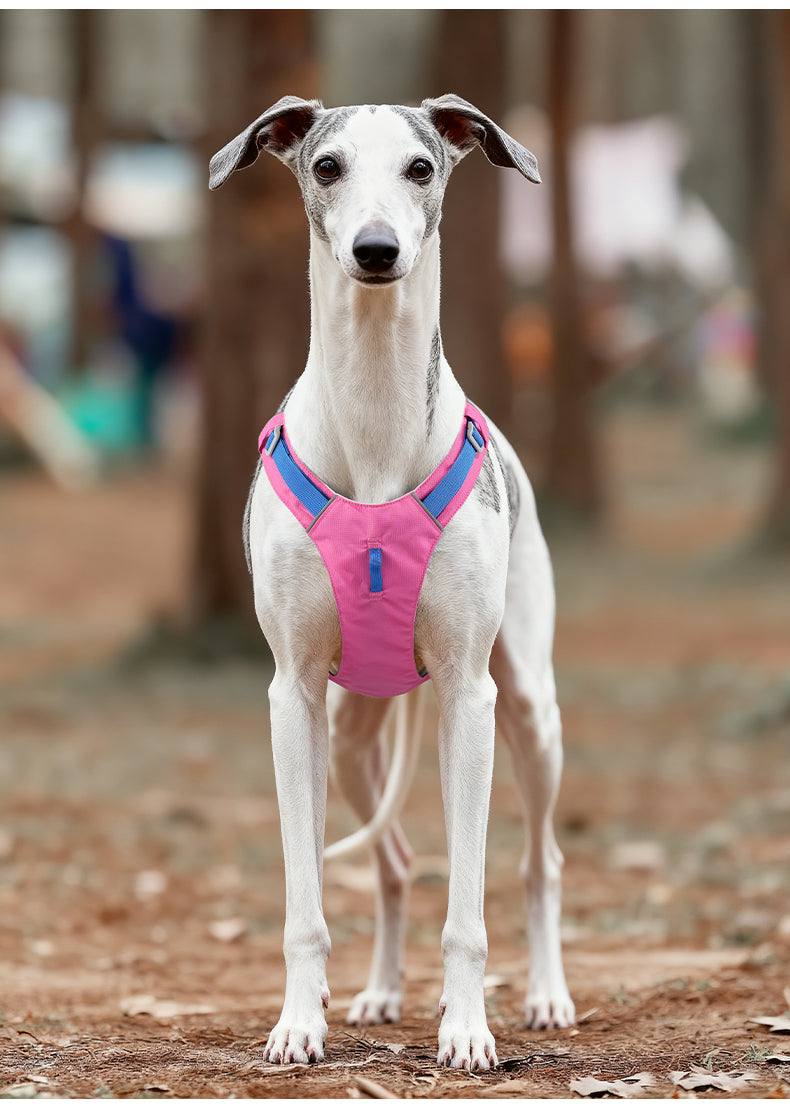 Trail Air Lightweight Reflective Dog Harness