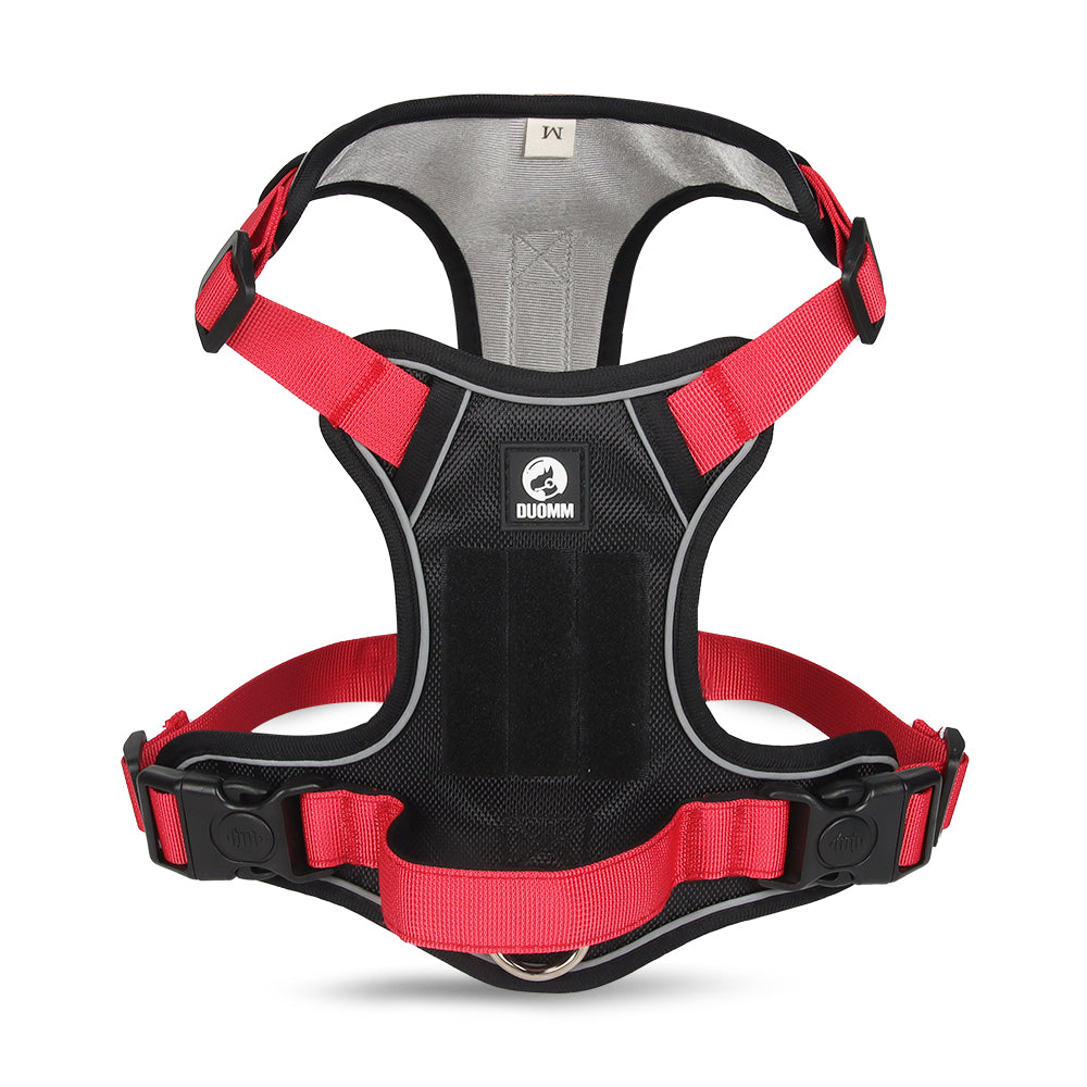 Motion Arc Reflective Harness & Leash Set