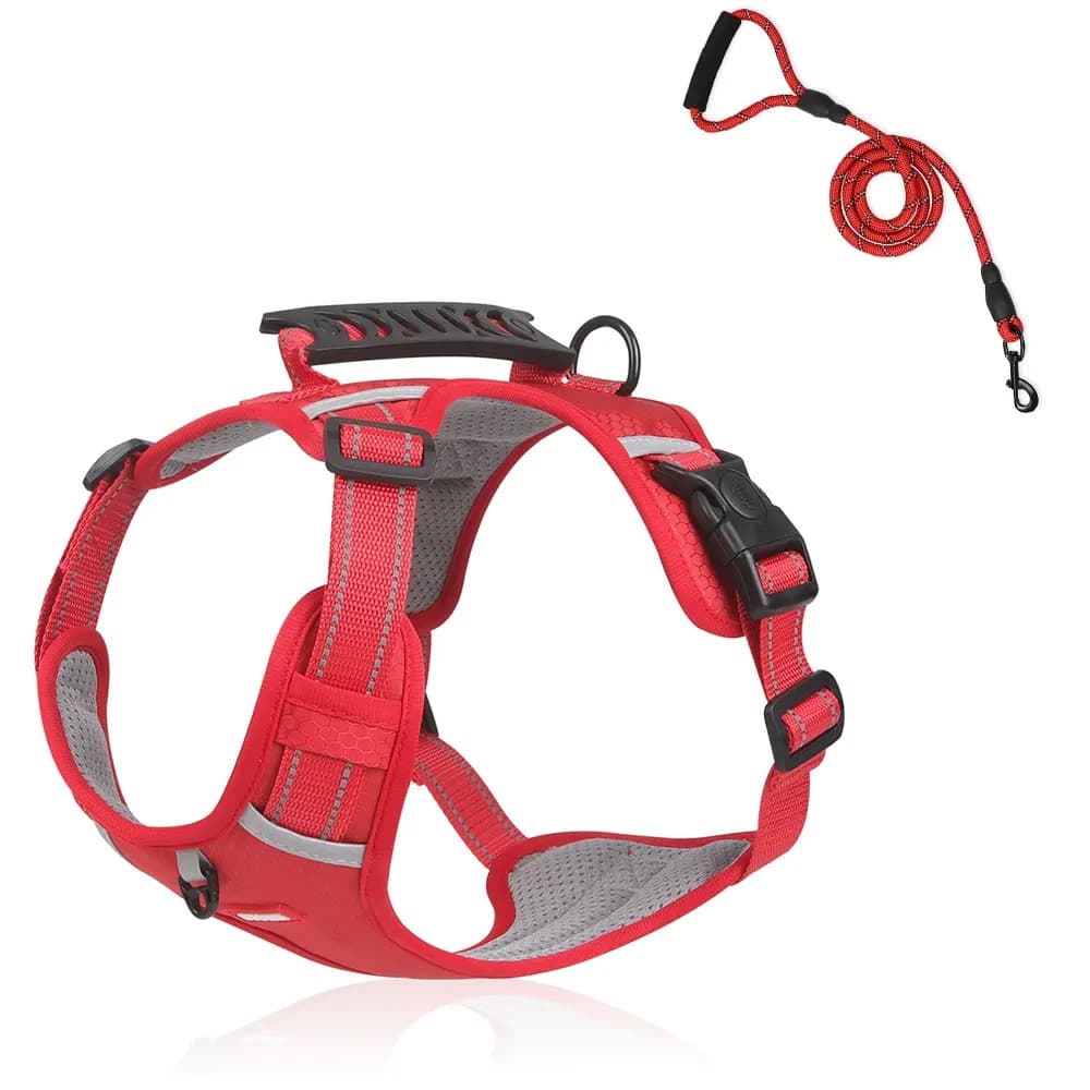 Northpath Control Dog Harness & Leash Set
