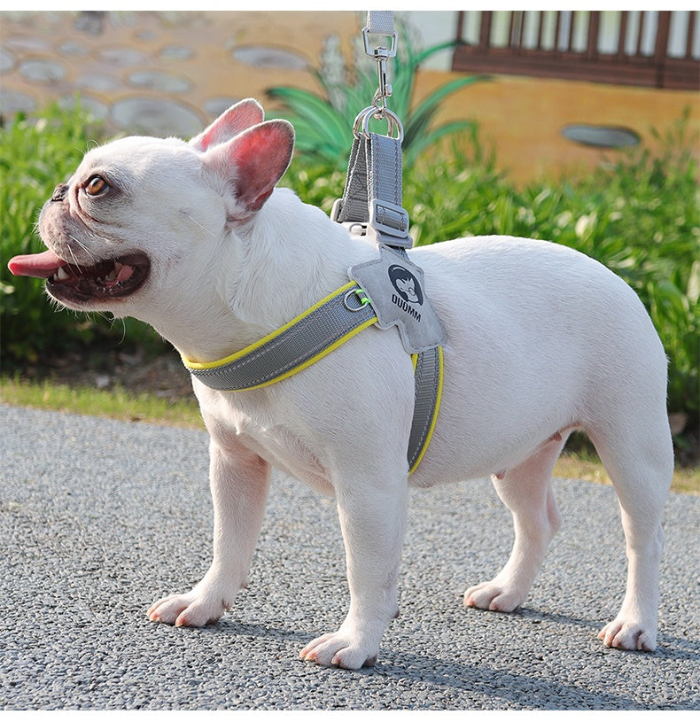 Night Weave LED Dog Harness & Leash Set