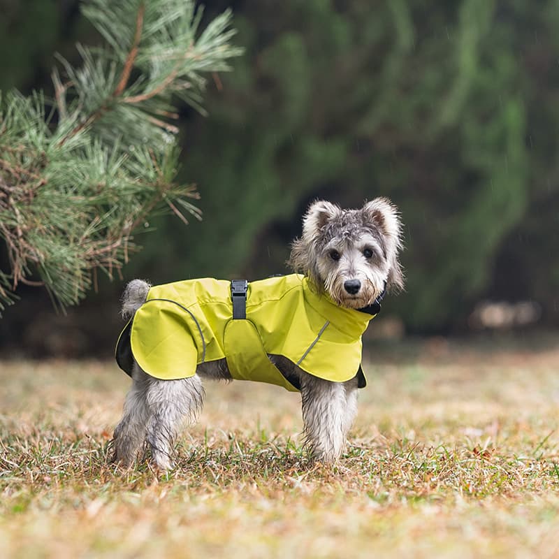 Breathable Dog Adventure Rain Coat