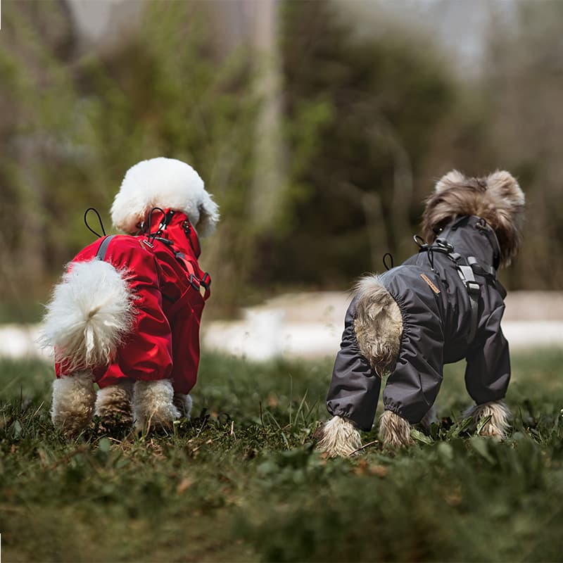 All-Weather Dog Adventure Suit