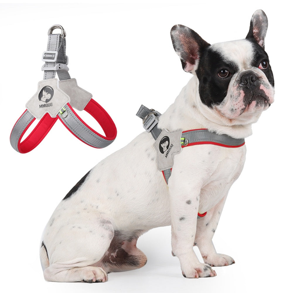 Daybeam Reflective Harness & Leash Set