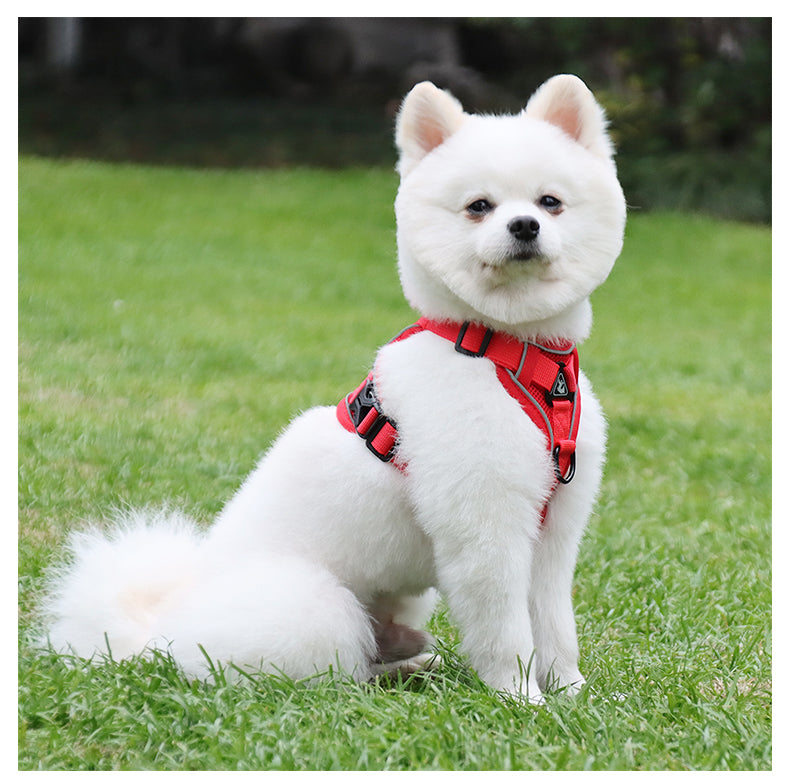Feather Fit Breathable Pet Harness and Leash Set