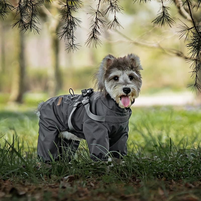 All-Weather Dog Adventure Suit