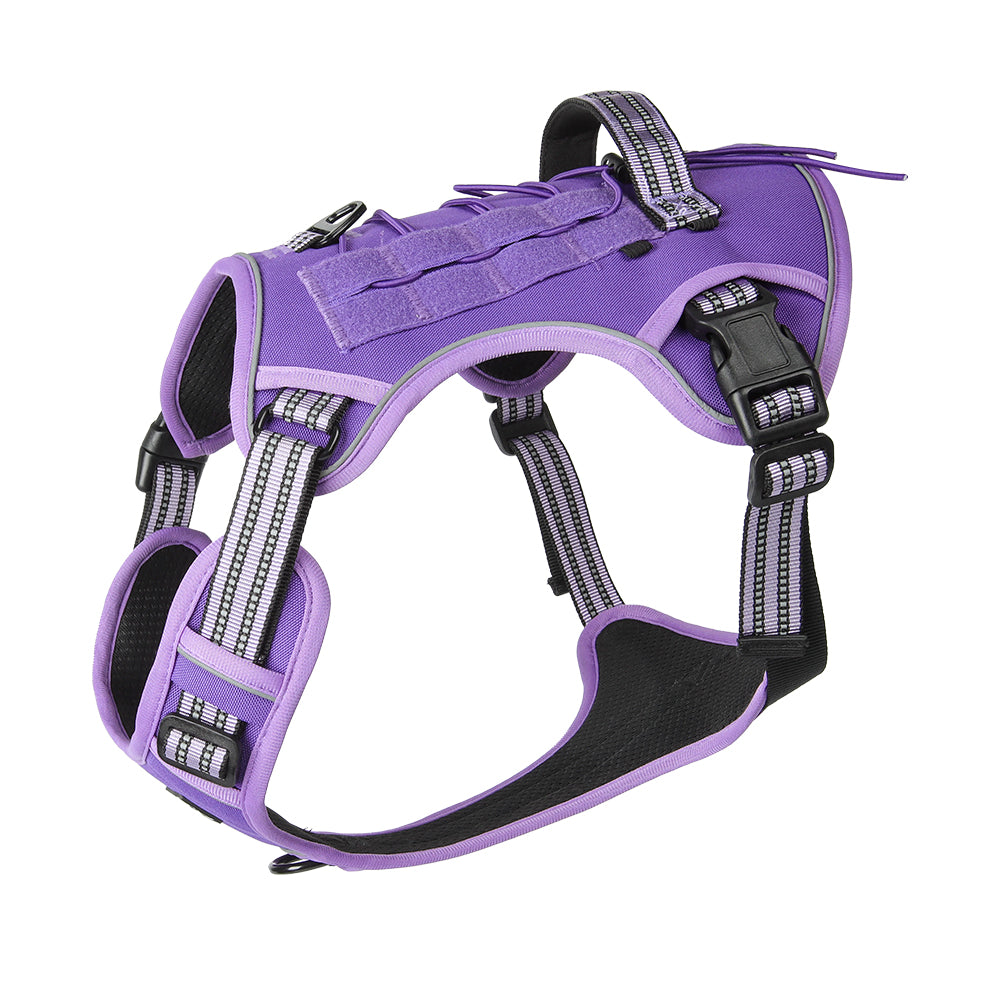 Luma Guard LED Dog Harness & Leash Set