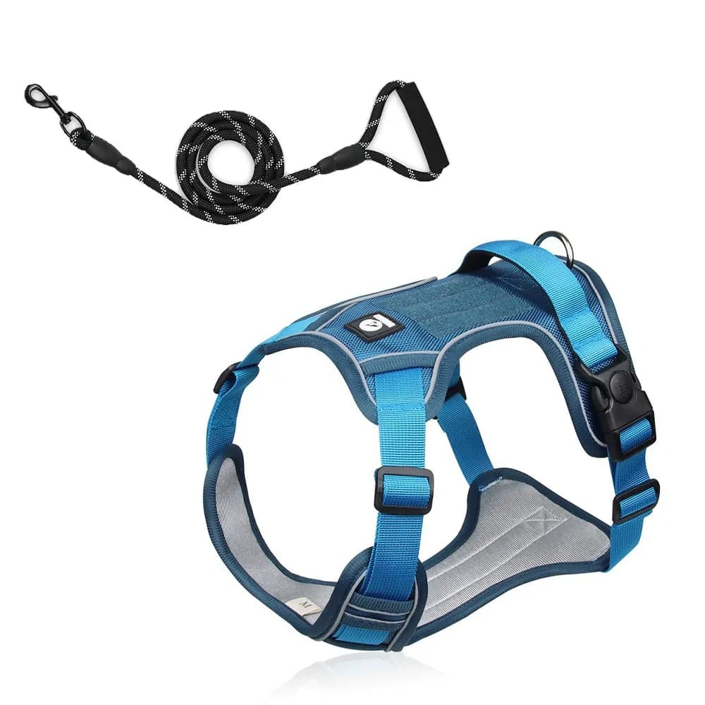 Motion Arc Reflective Harness & Leash Set