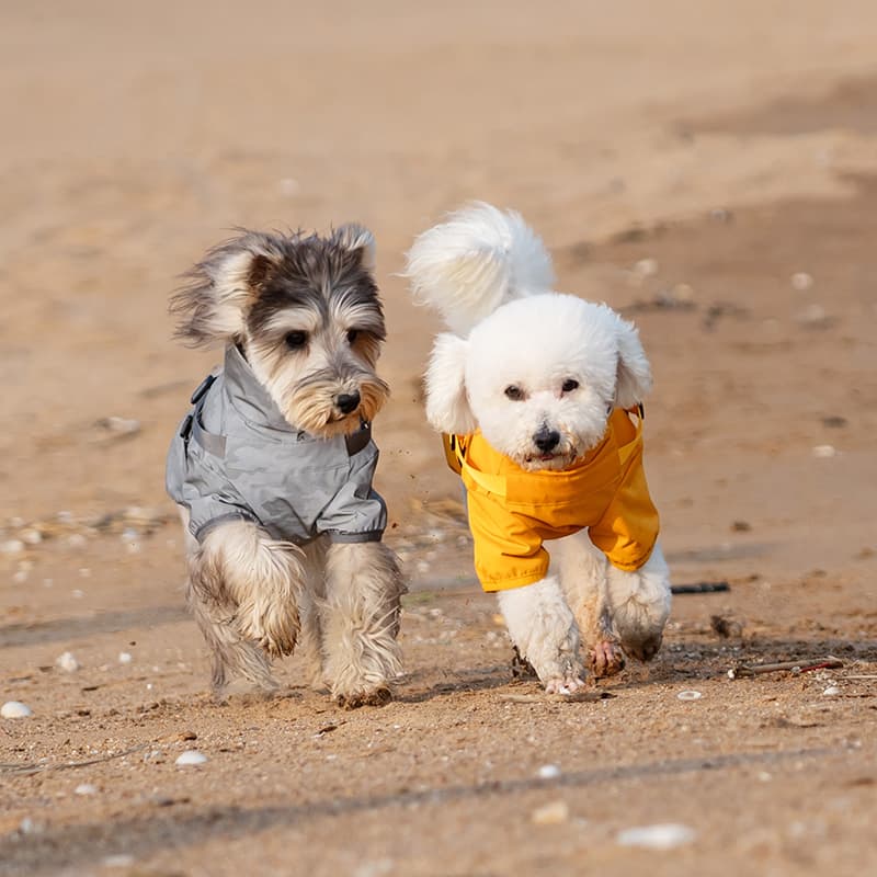 Breathable Waterproof Dog Rain Shell