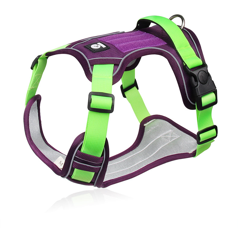 Canyon Ease Padded Dog Harness with Handle