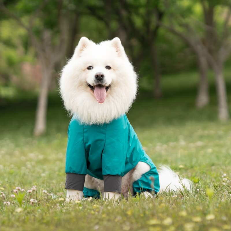 Lightweight Full Coverage Dog Rain Jacket