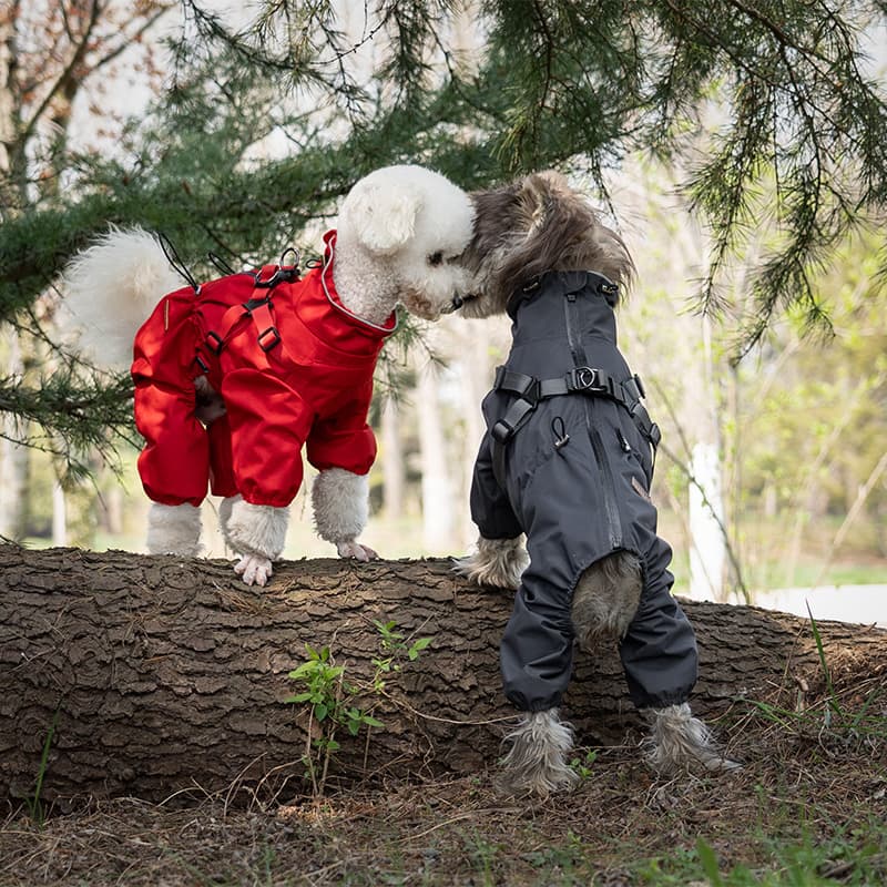 All-Weather Dog Adventure Suit