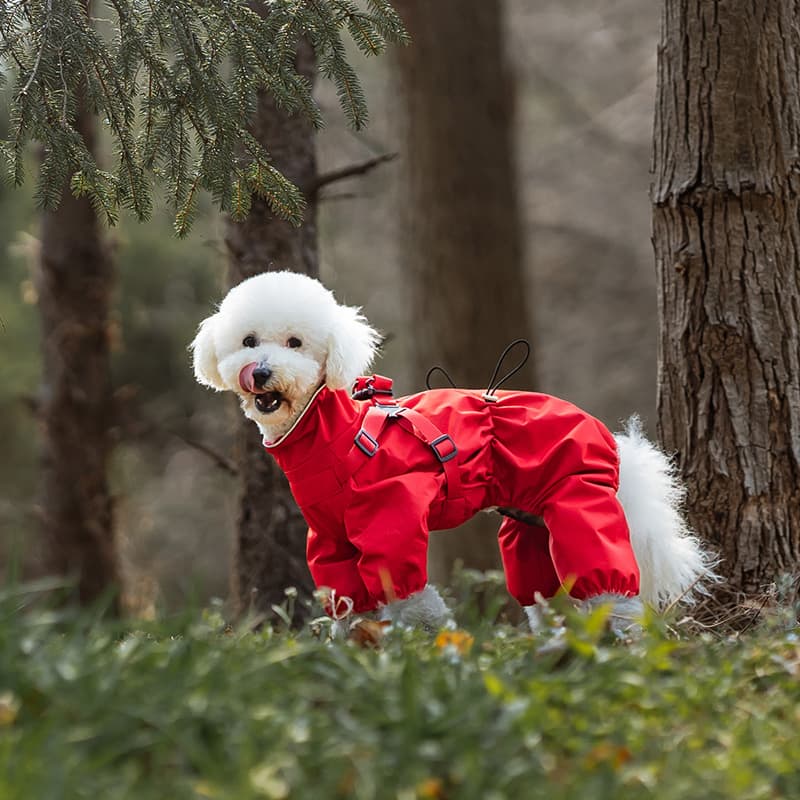 All-Weather Dog Adventure Suit