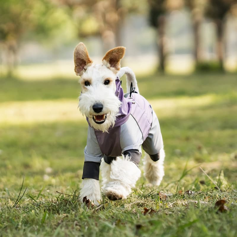 Lightweight Full Coverage Dog Rain Jacket