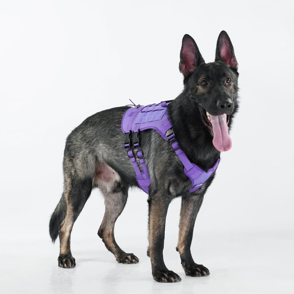 Summit Control Tactical Dog Harness with Handle