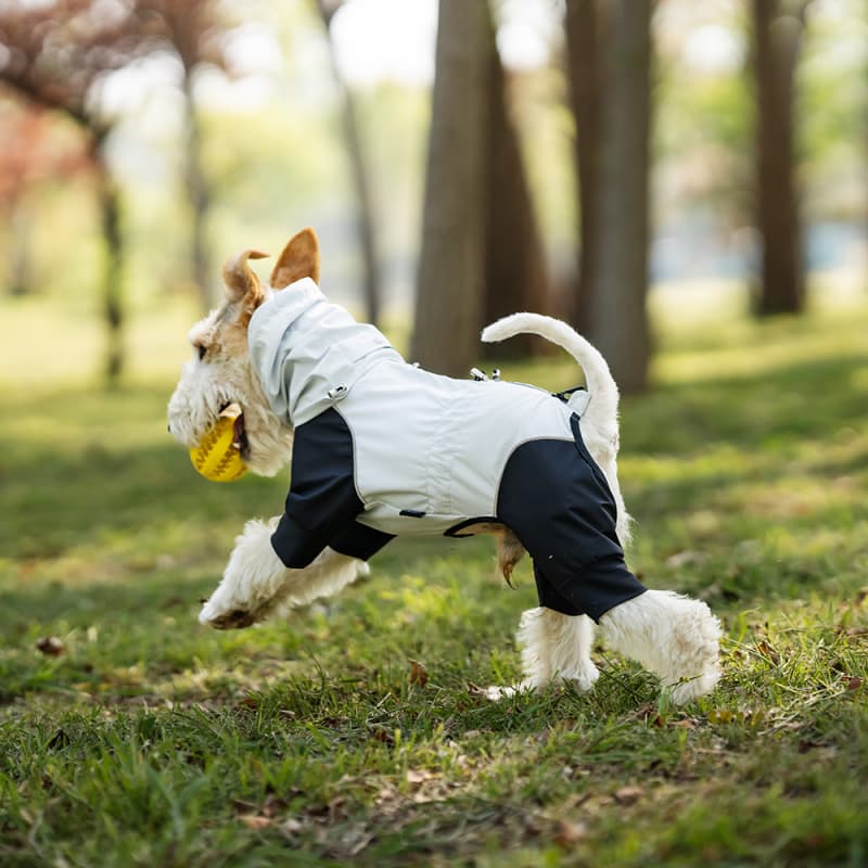 Lightweight Full Coverage Dog Rain Jacket