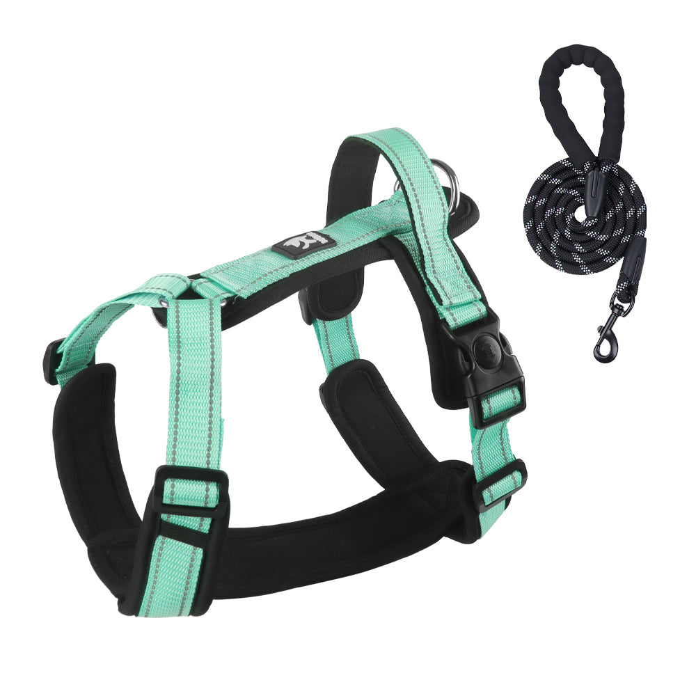 Roam Ready Adjustable Dog Harness and Leash Set