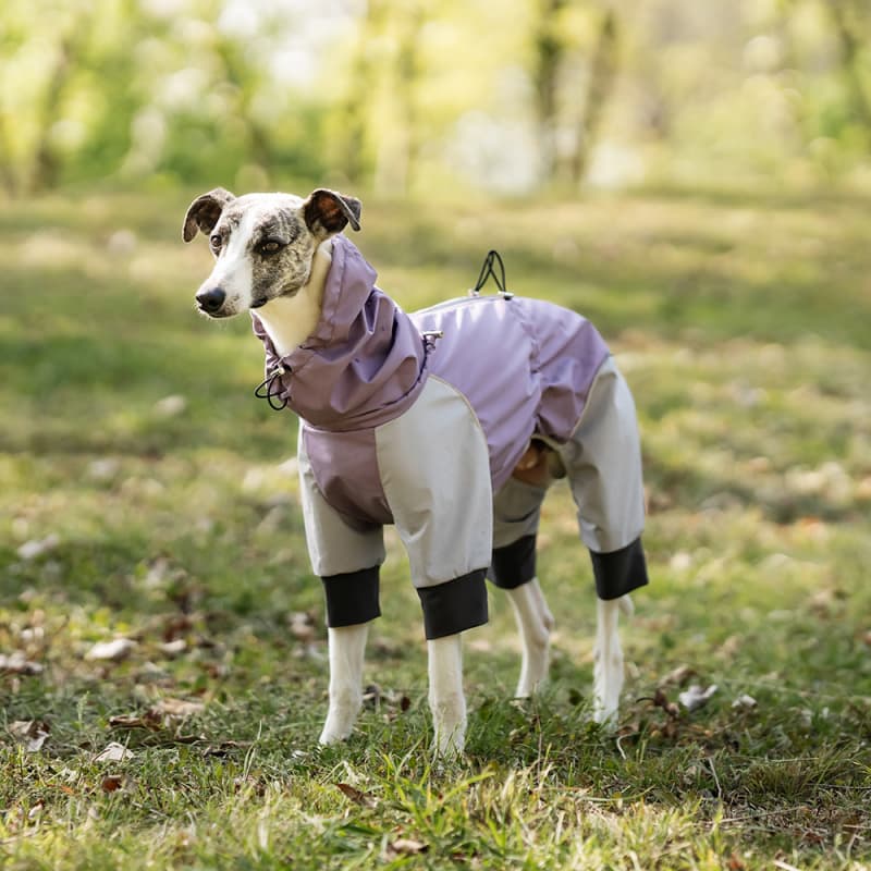 Lightweight Full Coverage Dog Rain Jacket