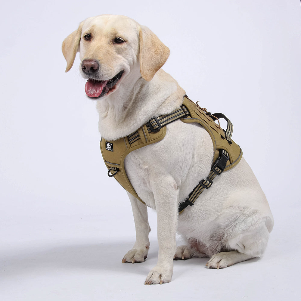 Field Trek Multi-Use Training Dog Harness with Handle
