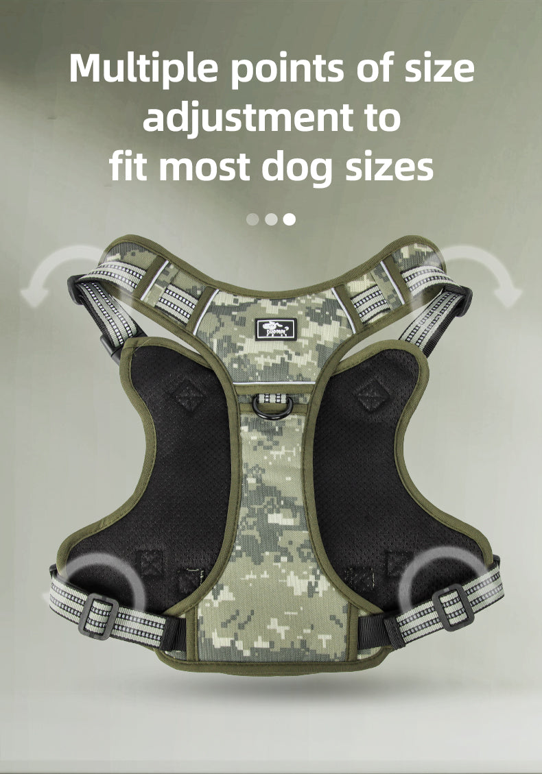 Trail Forge Multi-Use Dog Harness and Leash Set