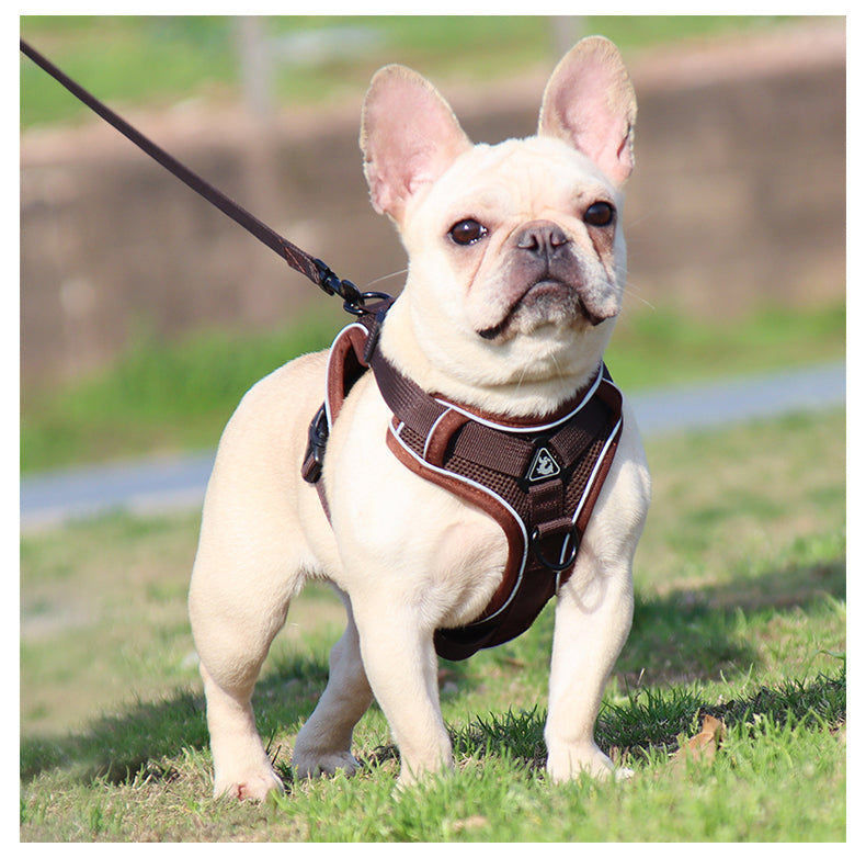 Feather Fit Breathable Pet Harness and Leash Set