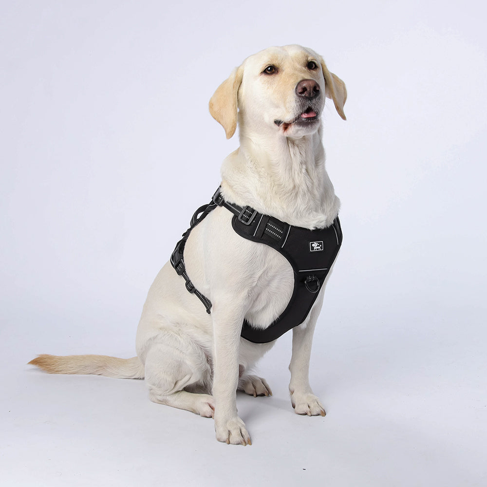 Field Trek Multi-Use Training Dog Harness with Handle