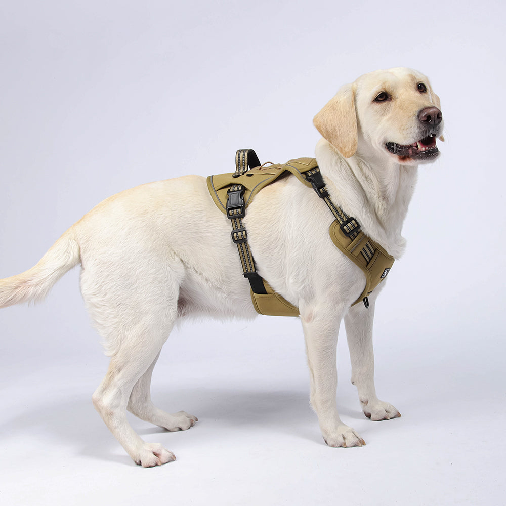 Luma Guard LED Dog Harness & Leash Set