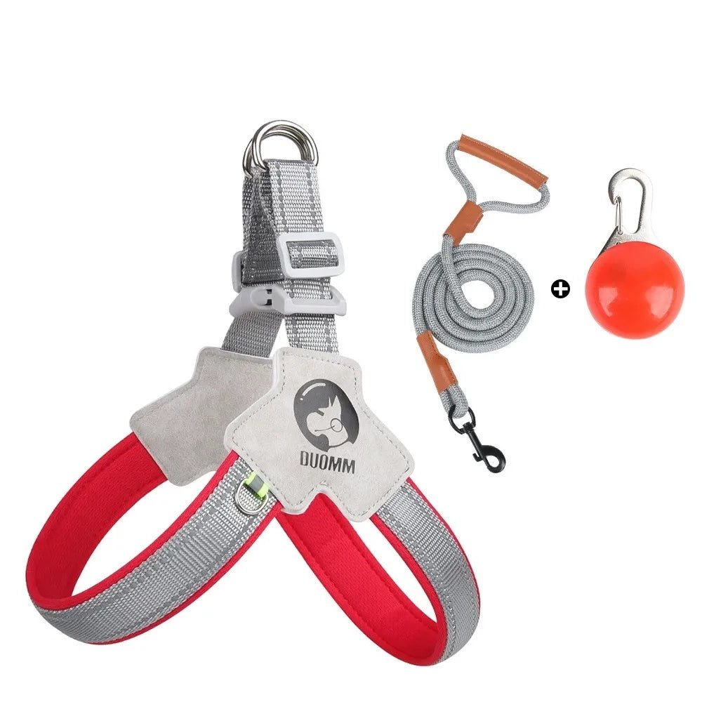 Night Weave LED Dog Harness & Leash Set