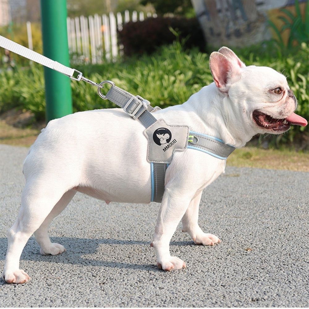 Night Weave LED Dog Harness & Leash Set
