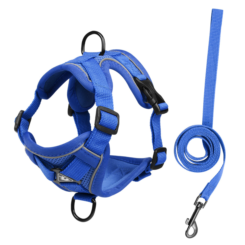 Feather Fit Breathable Pet Harness and Leash Set