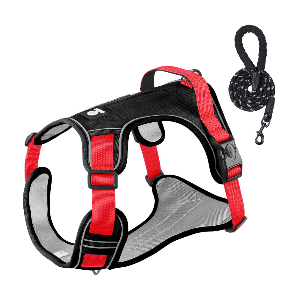 Overland Fit Padded Dog Harness and Leash Set