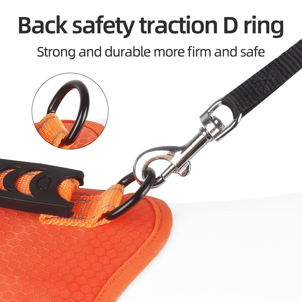 Northpath Control Dog Harness & Leash Set