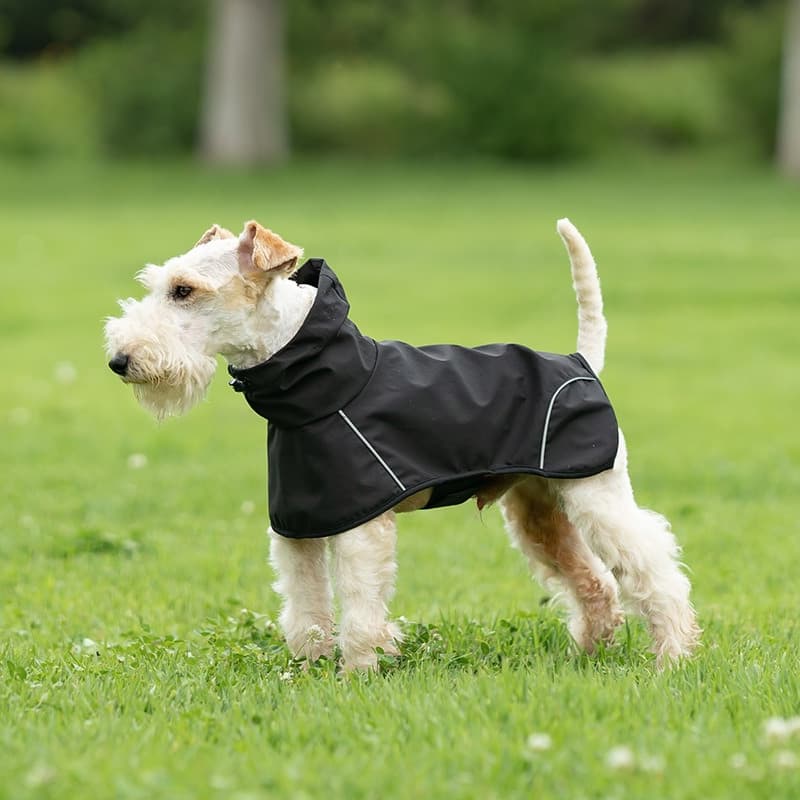 Full Coverage Waterproof Dog Rain Suit