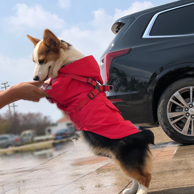 Reflective Harness Dog Rain Cape