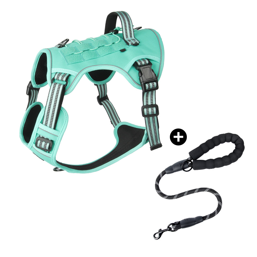 Trail Forge Multi-Use Dog Harness and Leash Set