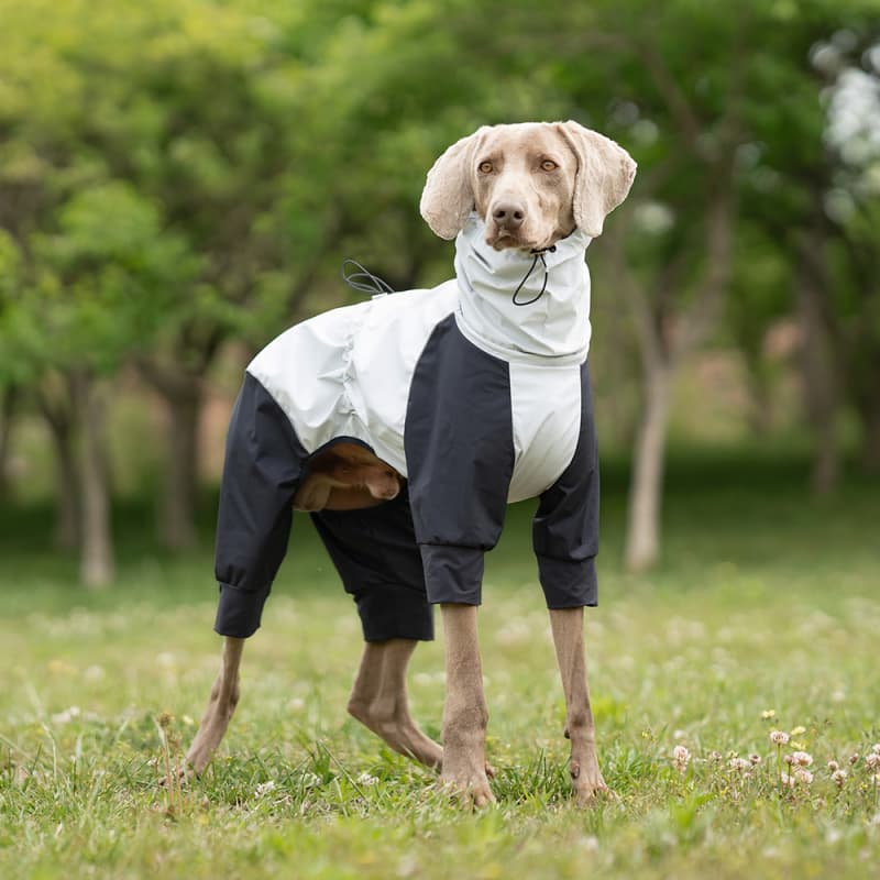 Lightweight Full Coverage Dog Rain Jacket