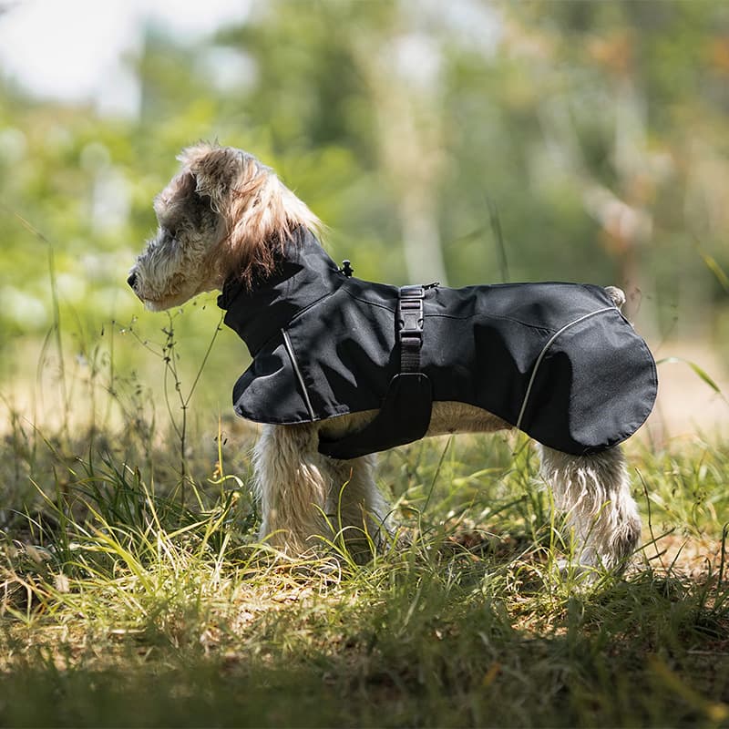 Breathable Dog Adventure Rain Coat