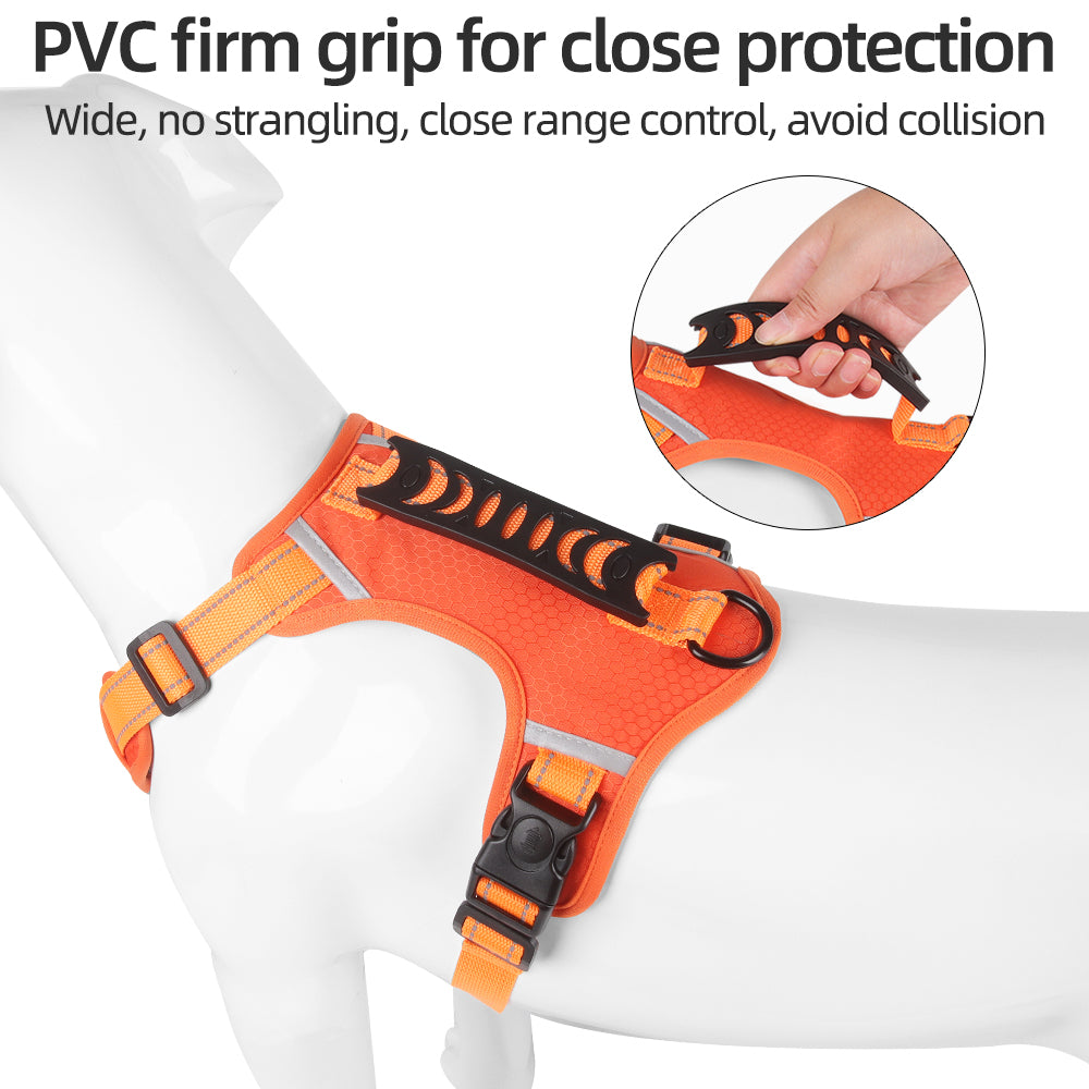 Northpath Control Dog Harness & Leash Set