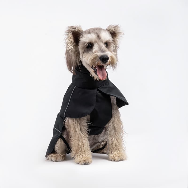 Breathable Dog Adventure Rain Coat